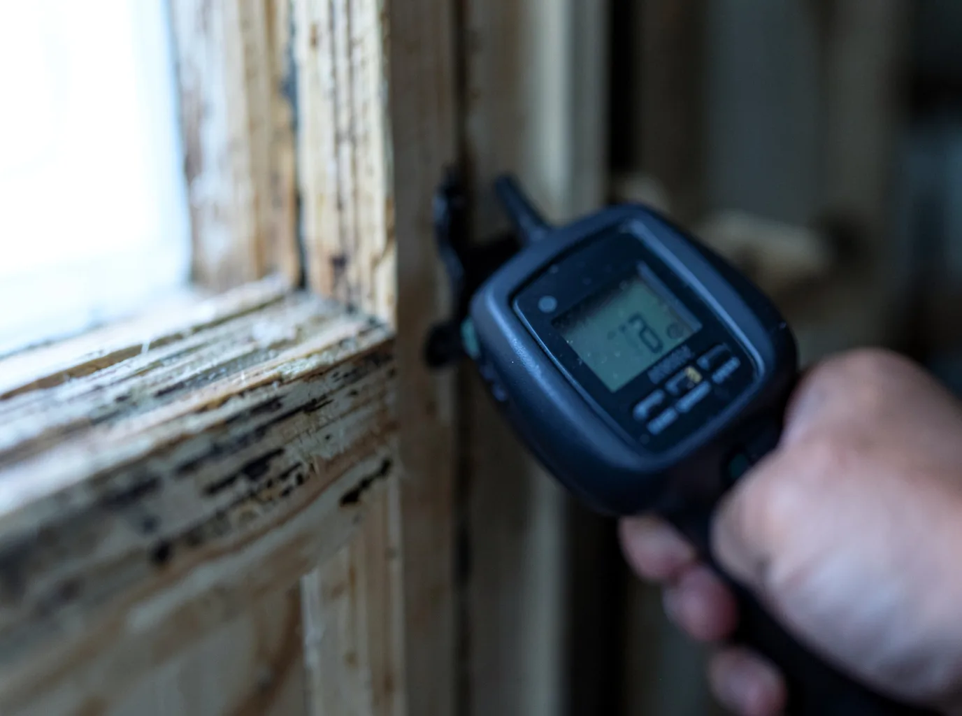 Moisture Inspection And Documentation in San Luis Obispo, CA